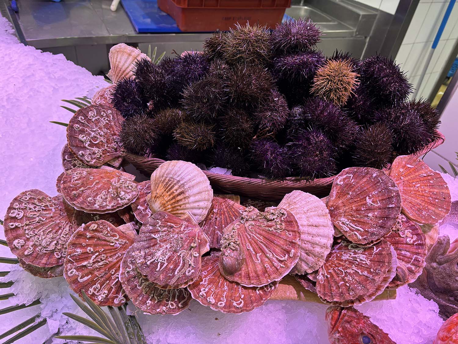 poissonnerie cagnes sur mer-poissonnier saint laurent du var-fruits de mer villeneuve loubet-traiteur la gaude-plateau fruits de mer la colle sur loup-poisson biot