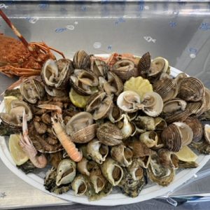 poissonnerie cagnes sur mer-poissonnier saint laurent du var-fruits de mer villeneuve loubet-traiteur la gaude-plateau fruits de mer la colle sur loup-poisson biot