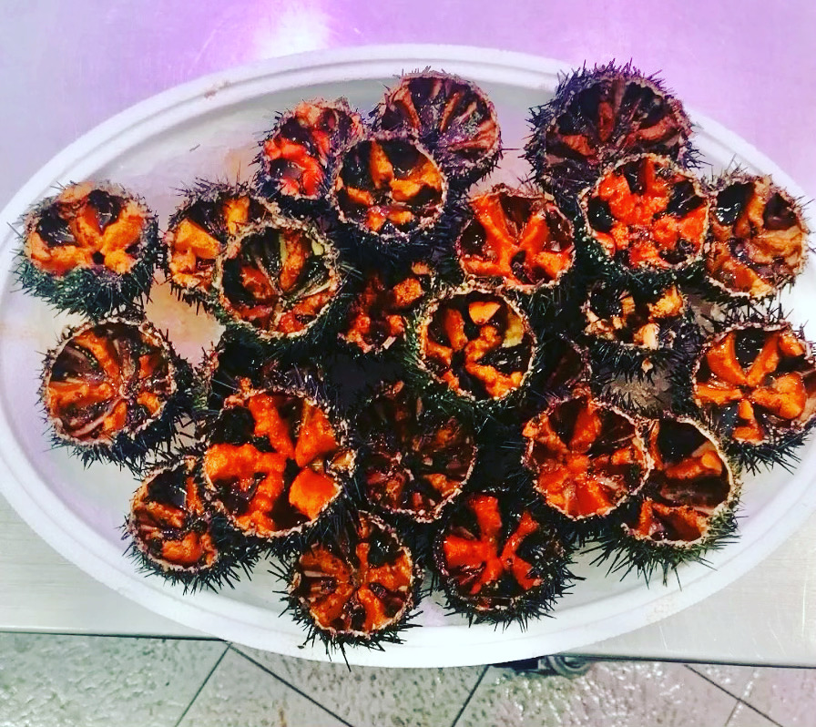 poissonnerie cagnes sur mer-poissonnier saint laurent du var-fruits de mer villeneuve loubet-traiteur la gaude-plateau fruits de mer la colle sur loup-poisson biot