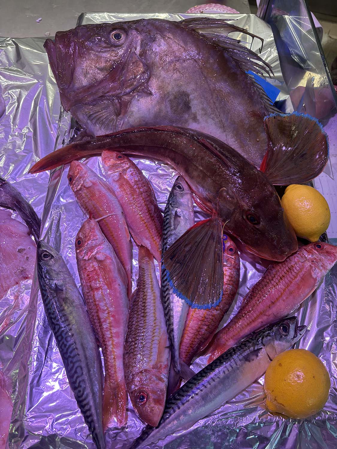 poissonnerie cagnes sur mer-poissonnier saint laurent du var-fruits de mer villeneuve loubet-traiteur la gaude-plateau fruits de mer la colle sur loup-poisson biot