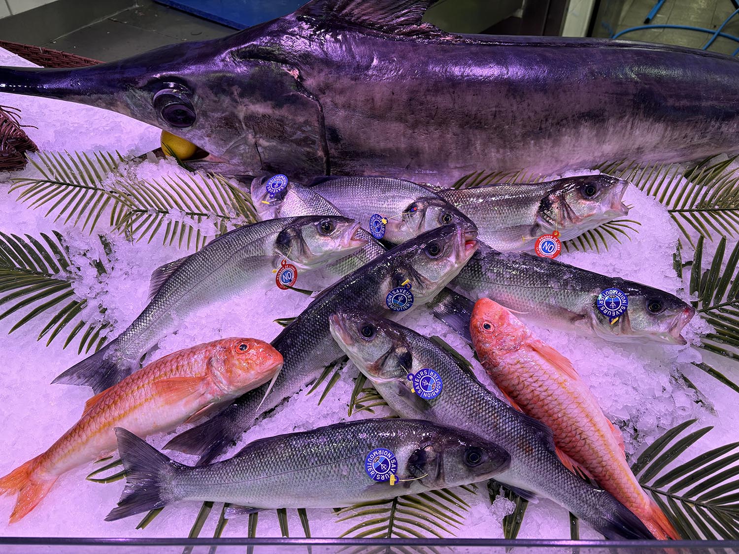 poissonnerie cagnes sur mer-poissonnier saint laurent du var-fruits de mer villeneuve loubet-traiteur la gaude-plateau fruits de mer la colle sur loup-poisson biot