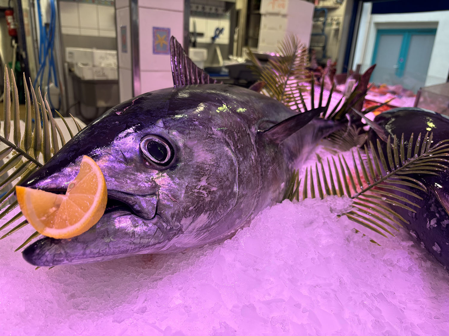 poissonnerie cagnes sur mer-poissonnier saint laurent du var-fruits de mer villeneuve loubet-traiteur la gaude-plateau fruits de mer la colle sur loup-poisson biot