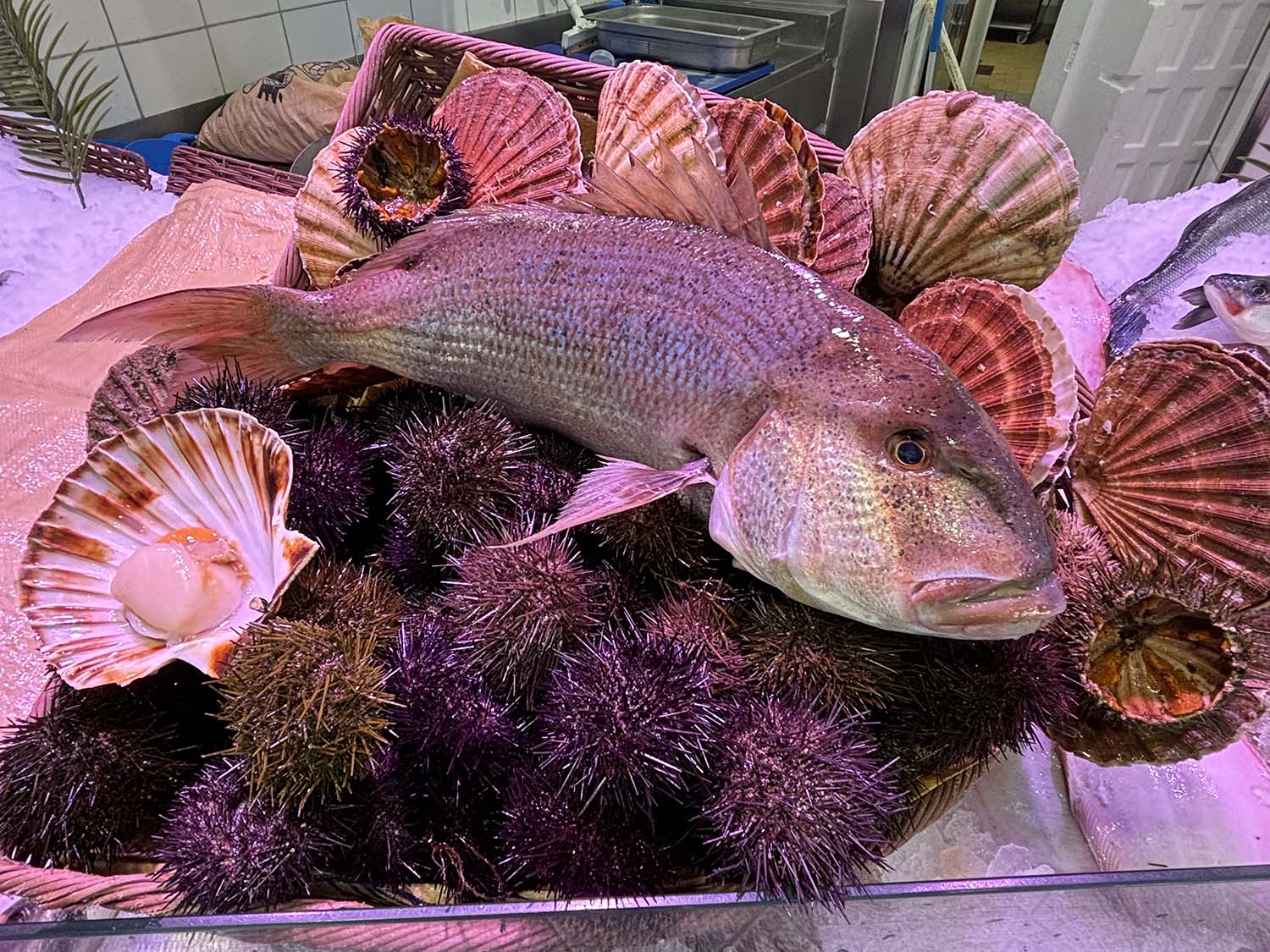 poissonnerie cagnes sur mer-poissonnier saint laurent du var-fruits de mer villeneuve loubet-traiteur la gaude-plateau fruits de mer la colle sur loup-poisson biot