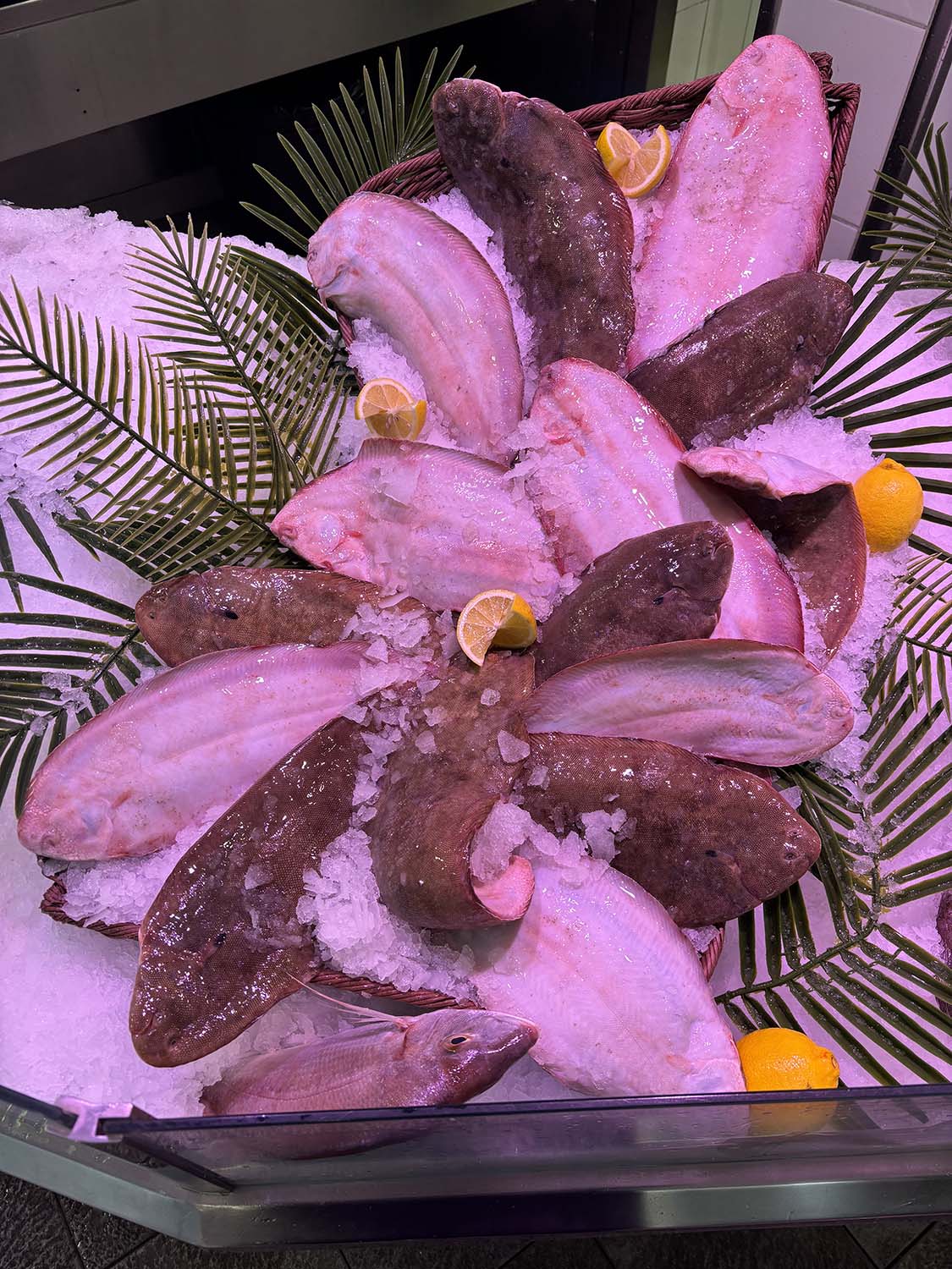 poissonnerie cagnes sur mer-poissonnier saint laurent du var-fruits de mer villeneuve loubet-traiteur la gaude-plateau fruits de mer la colle sur loup-poisson biot