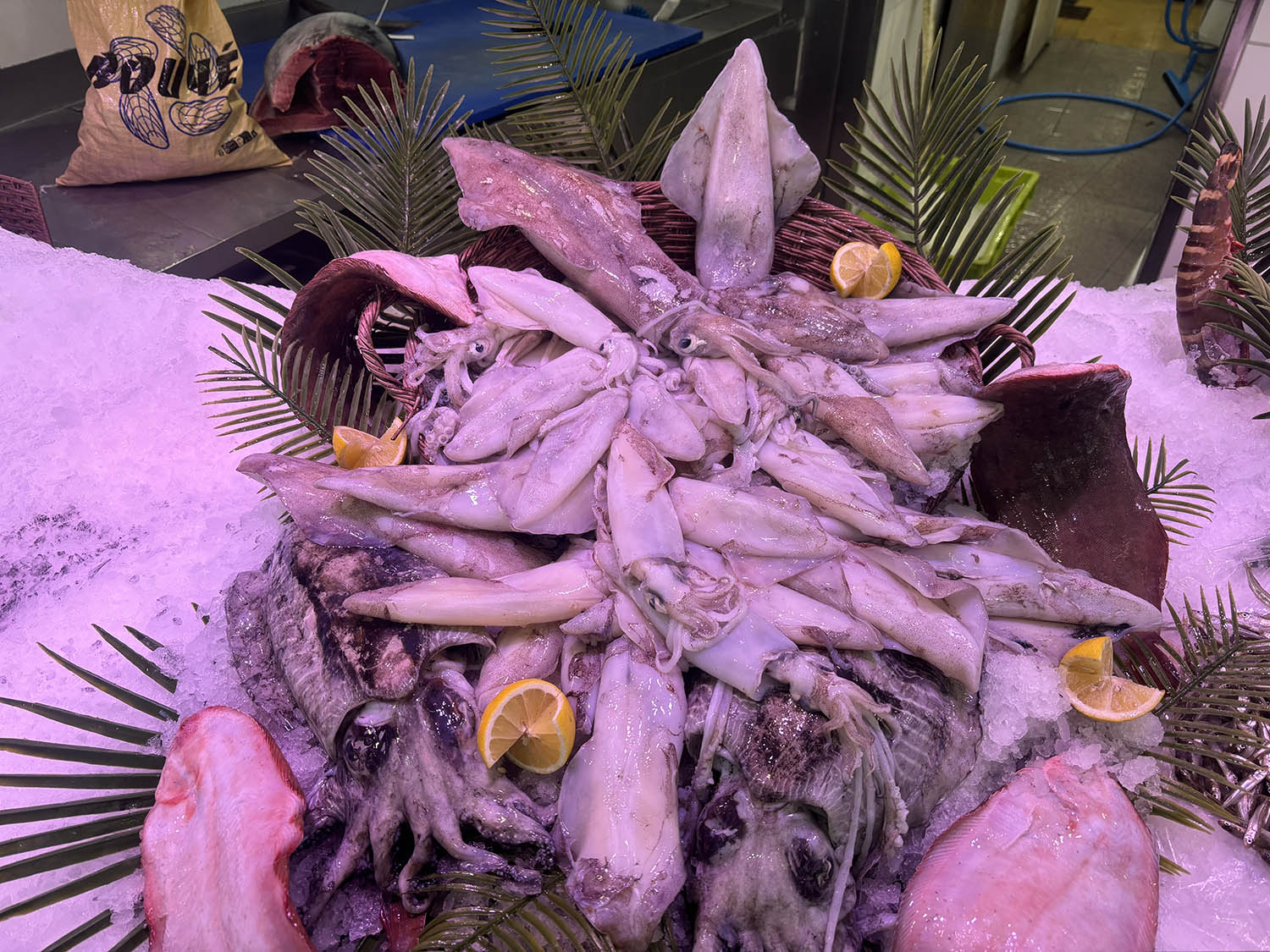 poissonnerie cagnes sur mer-poissonnier saint laurent du var-fruits de mer villeneuve loubet-traiteur la gaude-plateau fruits de mer la colle sur loup-poisson biot