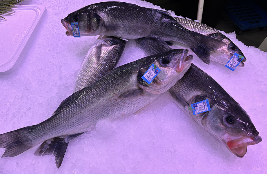 poissonnerie cagnes sur mer-poissonnier saint laurent du var-fruits de mer villeneuve loubet-traiteur la gaude-plateau fruits de mer la colle sur loup-poisson biot