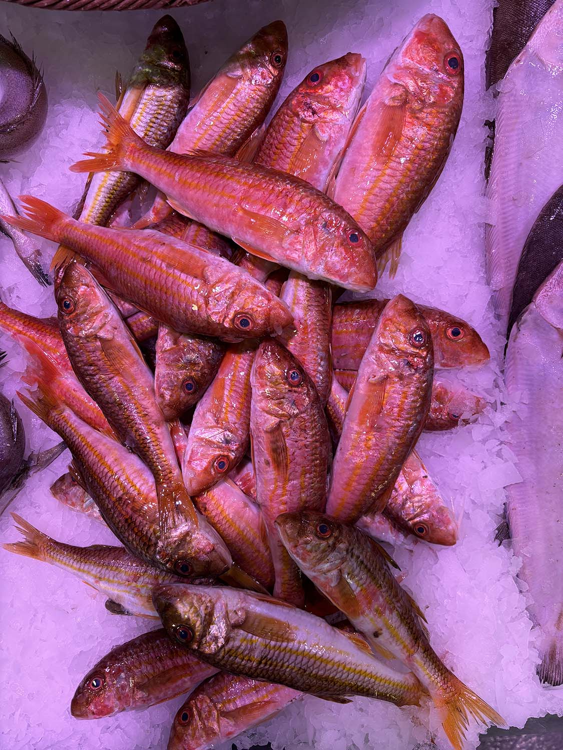 poissonnerie cagnes sur mer-poissonnier saint laurent du var-fruits de mer villeneuve loubet-traiteur la gaude-plateau fruits de mer la colle sur loup-poisson biot