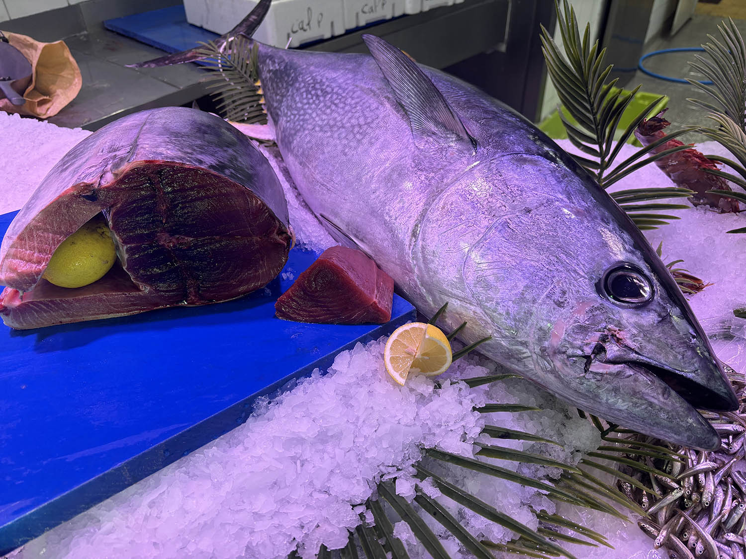 poissonnerie cagnes sur mer-poissonnier saint laurent du var-fruits de mer villeneuve loubet-traiteur la gaude-plateau fruits de mer la colle sur loup-poisson biot