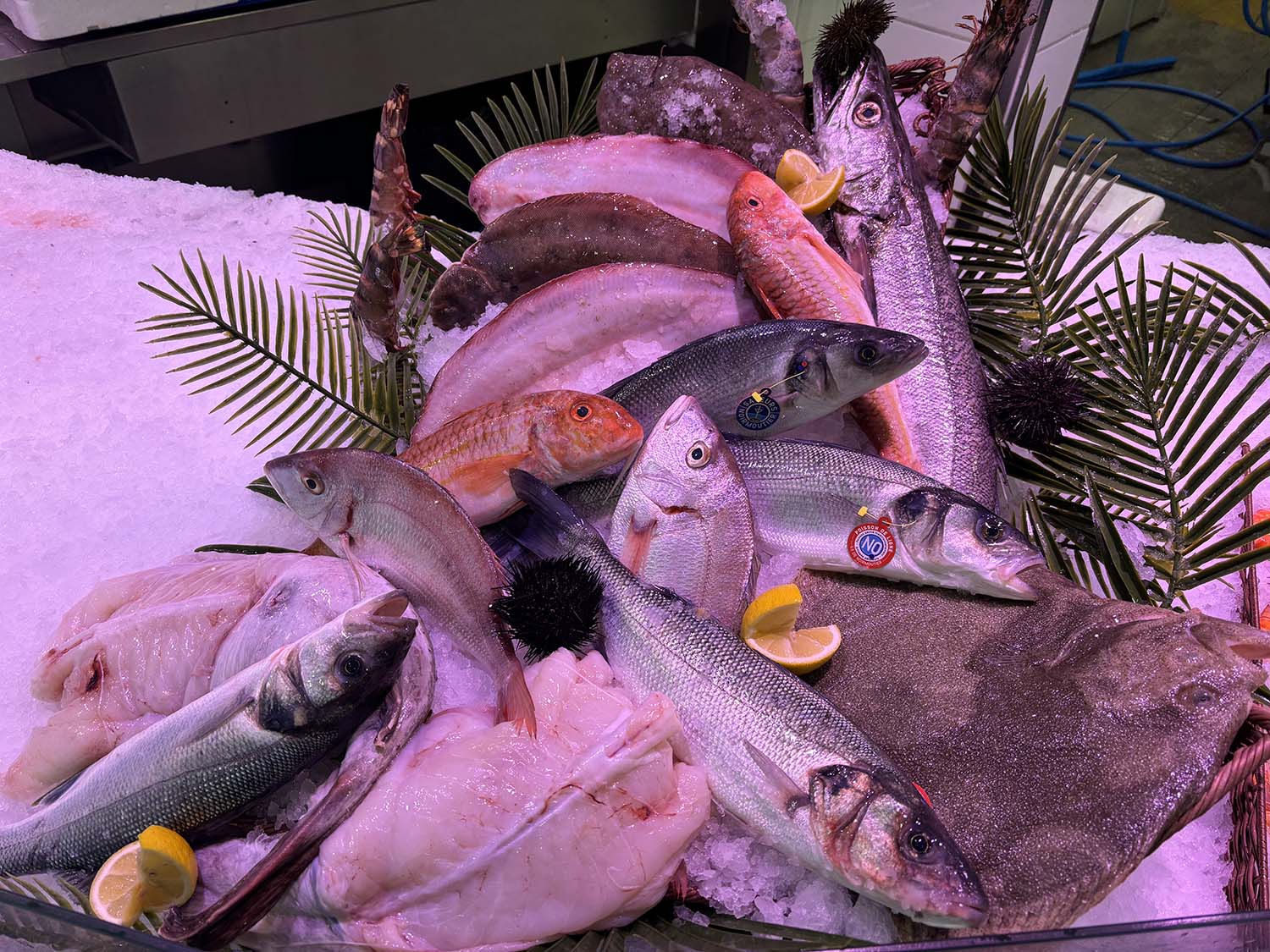 poissonnerie cagnes sur mer-poissonnier saint laurent du var-fruits de mer villeneuve loubet-traiteur la gaude-plateau fruits de mer la colle sur loup-poisson biot