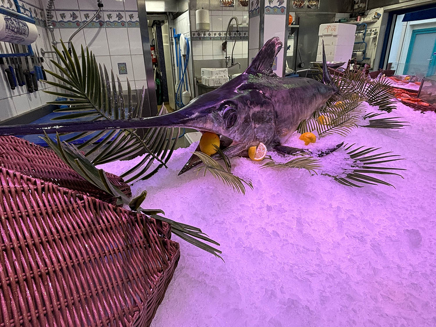 poissonnerie cagnes sur mer-poissonnier saint laurent du var-fruits de mer villeneuve loubet-traiteur la gaude-plateau fruits de mer la colle sur loup-poisson biot