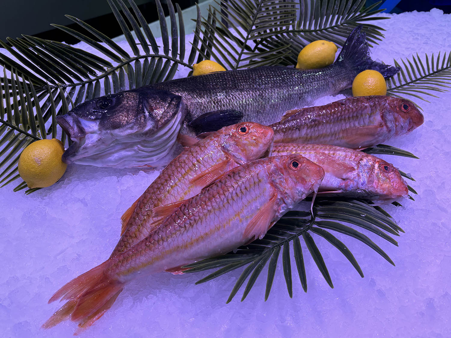 poissonnerie cagnes sur mer-poissonnier saint laurent du var-fruits de mer villeneuve loubet-traiteur la gaude-plateau fruits de mer la colle sur loup-poisson biot